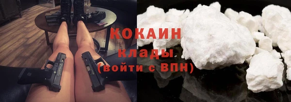 шишки Алексин