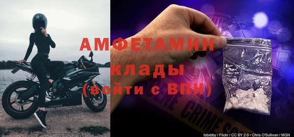 шишки Алексин