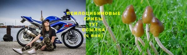 шишки Алексин
