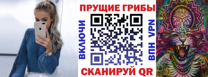где купить наркотик  Еманжелинск  Псилоцибиновые грибы прущие грибы 